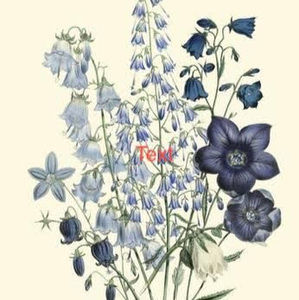 Meet your Posher, Leilani